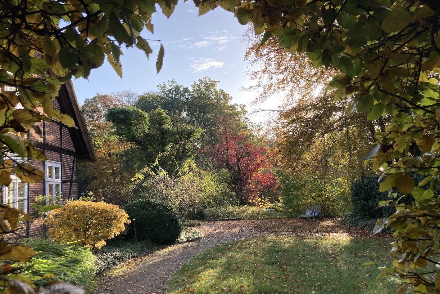 Herbst Kopie